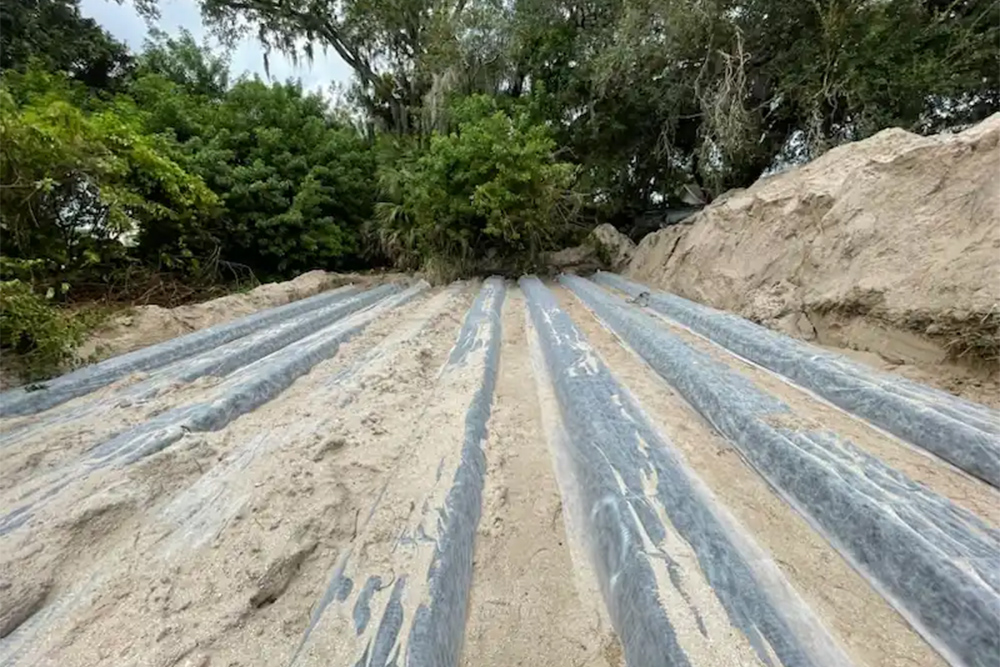 Drain Field Failure Signs Every Florida Homeowner Must Know