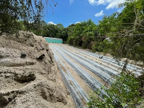 Newly laid drain field trenches with geo-textile fabric in a sandy yard